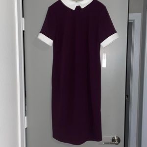 Purple collar dress with white collar